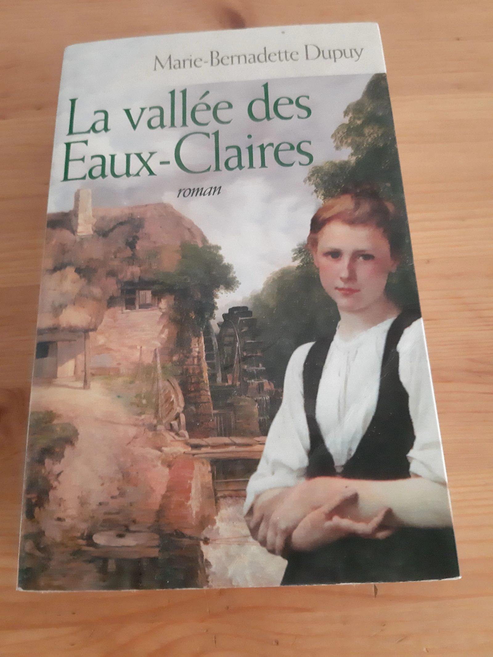 Livre de Marie Bernadette Dupuy 